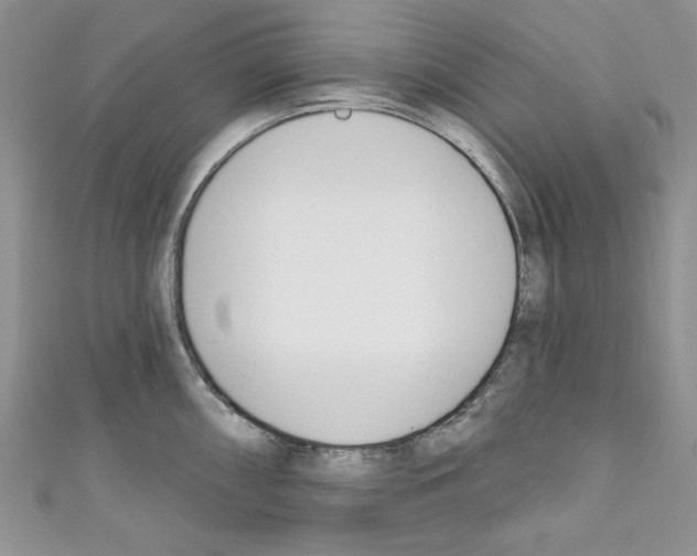X0000110741098200907271056