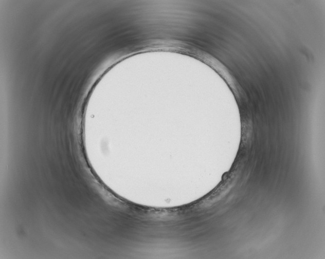 X0000110741099200907271056