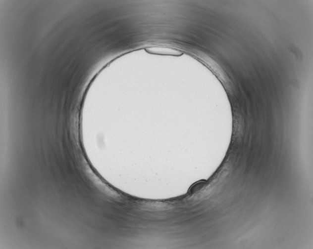 X0000110741100200907271056