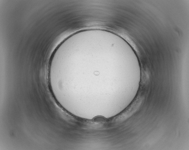 X0000110741101200907271056