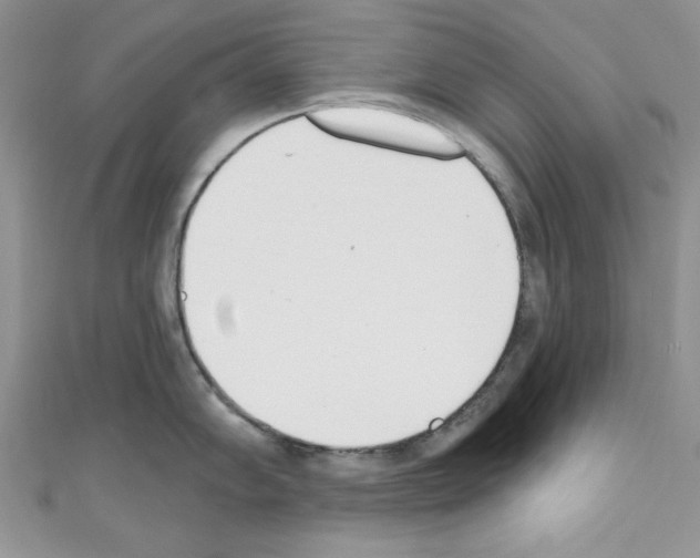 X0000110741102200907271056