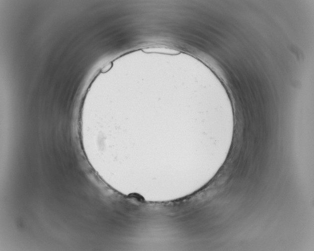 X0000110741104200907271056