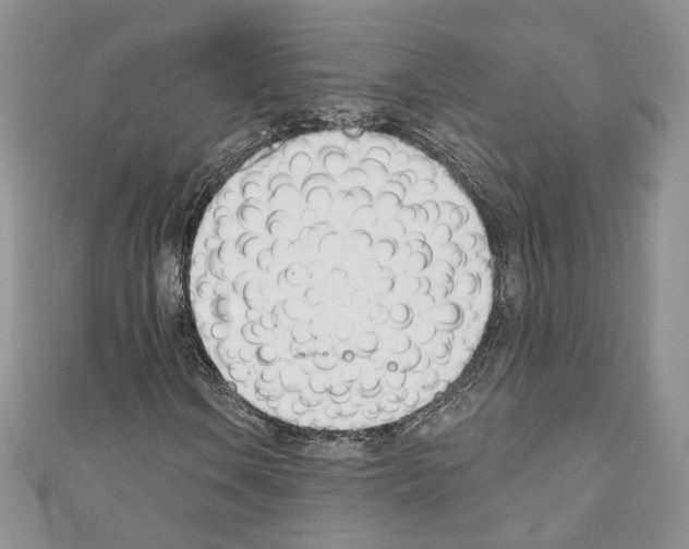 X0000110741106200907271056