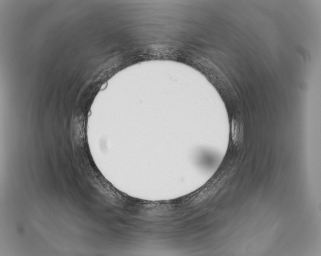 X0000110741107200907271056