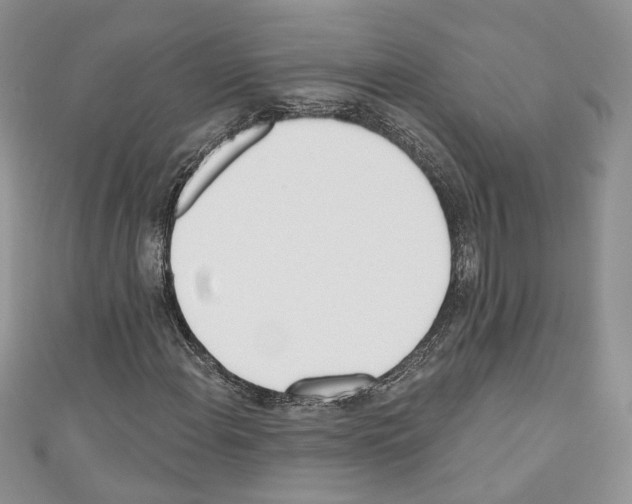 X0000110741108200907271056