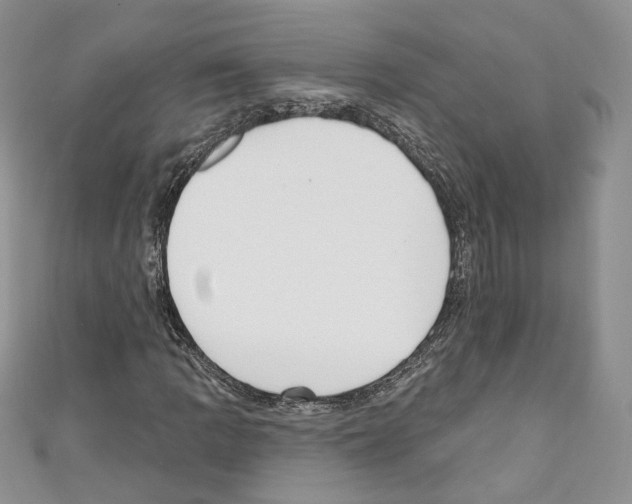 X0000110741109200907271056