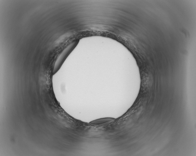 X0000110741110200907271056