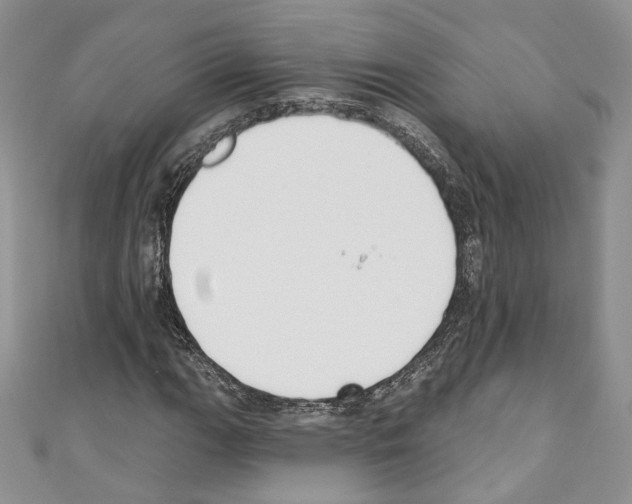X0000110741111200907271056