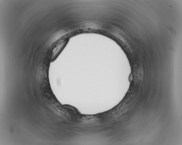 X0000110741112200907271056