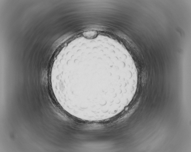 X0000110741113200907271056