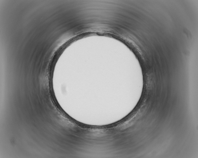 X0000110741114200907271056