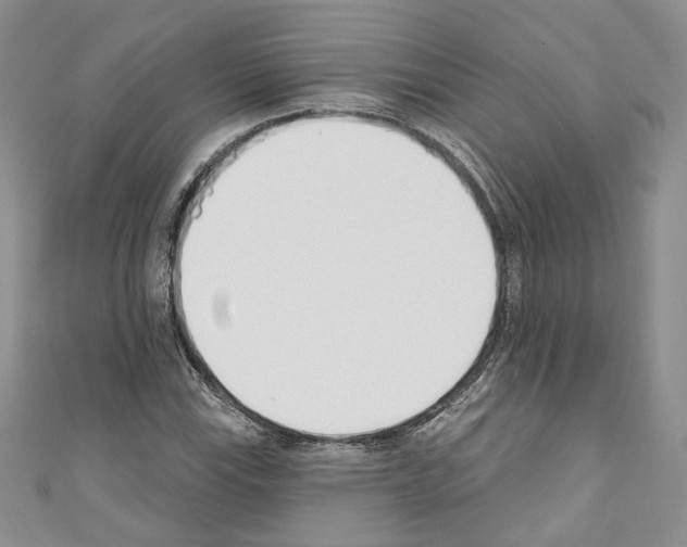 X0000110741115200907271056