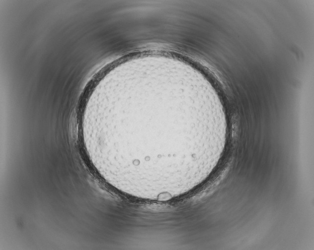 X0000110741117200907271056
