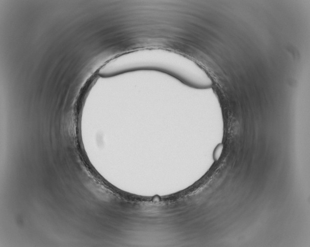 X0000110741118200907271056