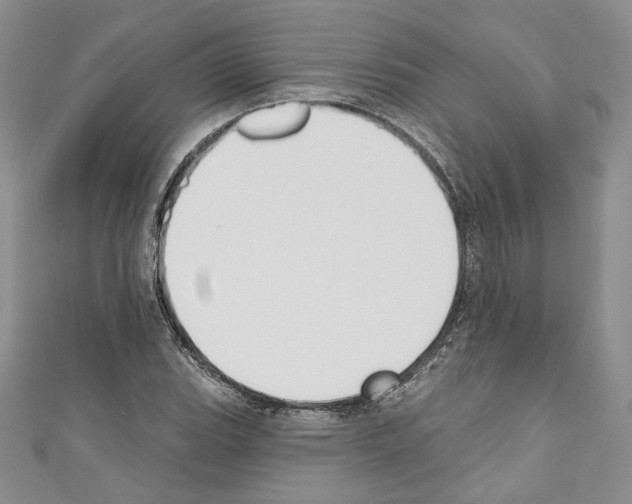 X0000110741119200907271056