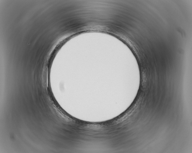 X0000110741123200907271056