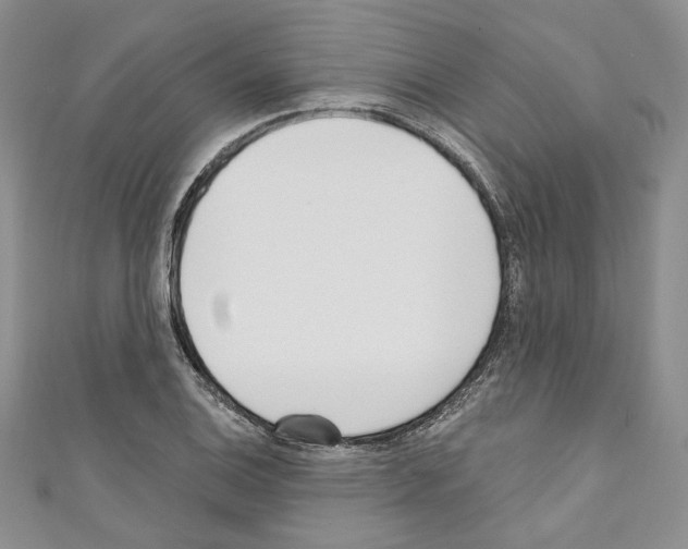 X0000110741124200907271056
