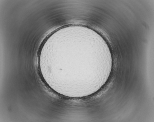 X0000110741125200907271056