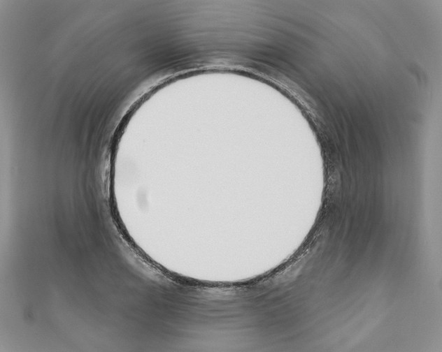 X0000110741126200907271056