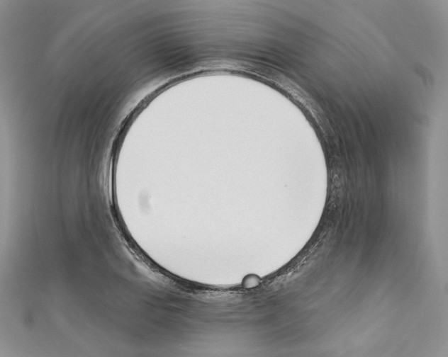 X0000110741127200907271056