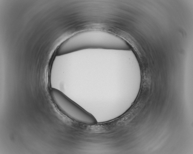 X0000110741128200907271056