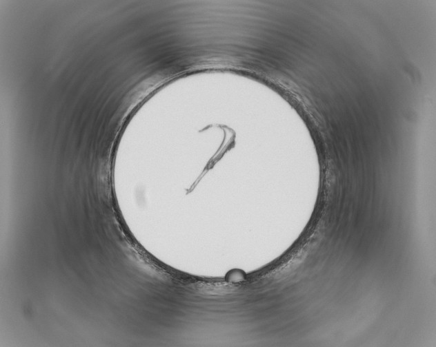 X0000110741129200907271056