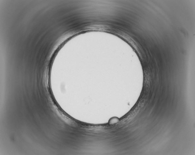 X0000110741131200907271056