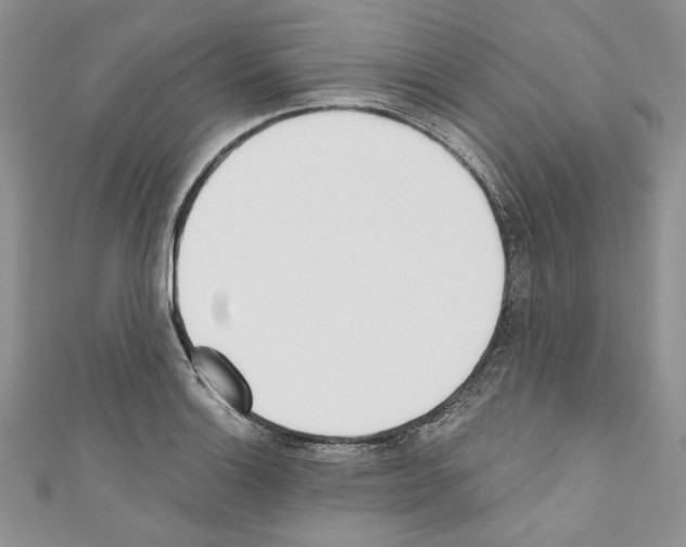X0000110741132200907271056