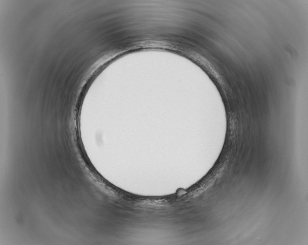 X0000110741133200907271056