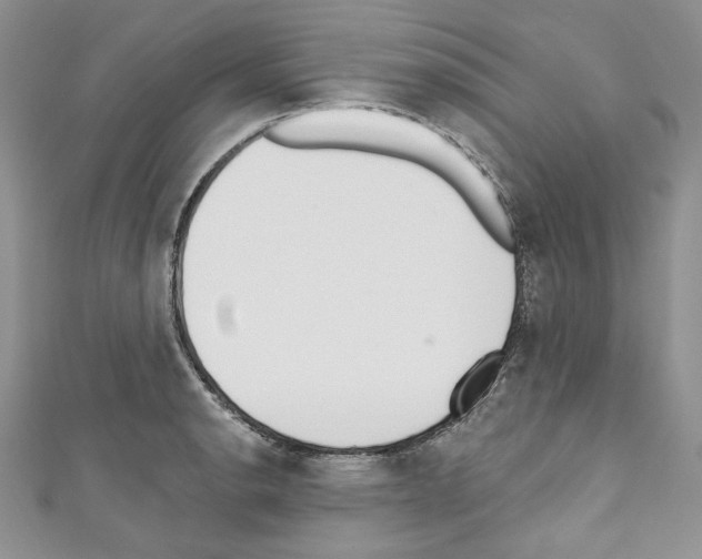 X0000110741134200907271056