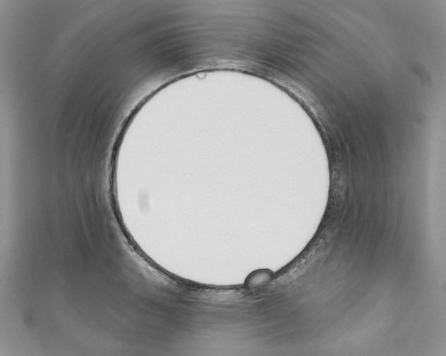 X0000110741135200907271056
