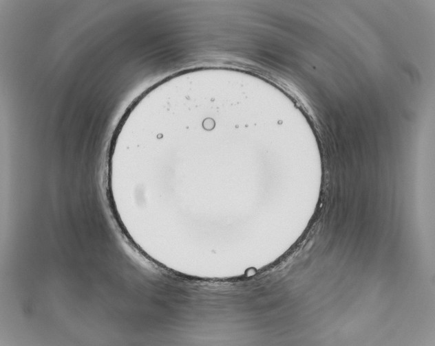 X0000110741136200907271056
