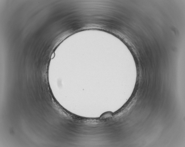 X0000110741137200907271056