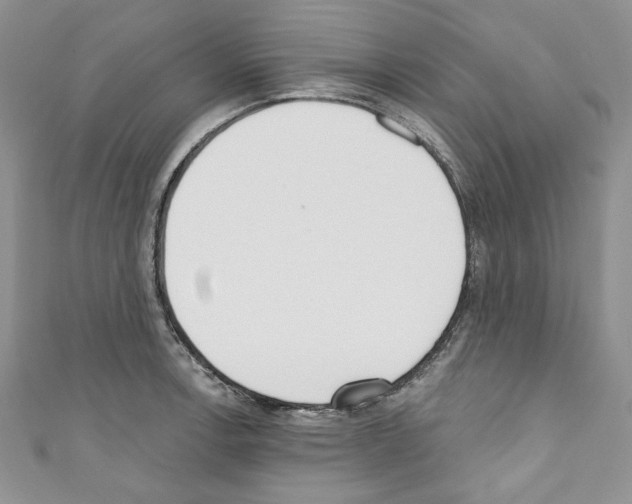 X0000110741138200907271056