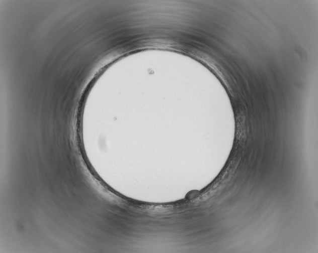 X0000110741139200907271056