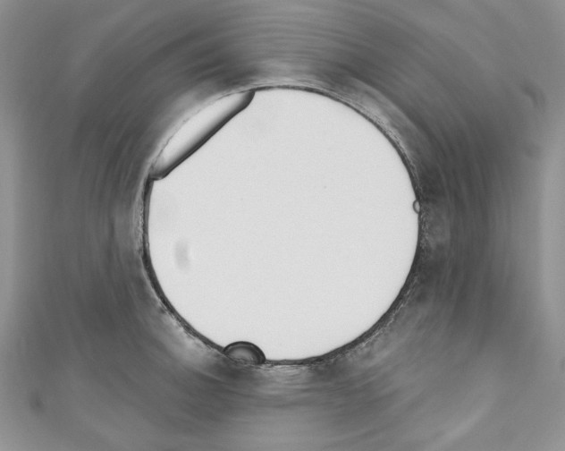X0000110741140200907271056