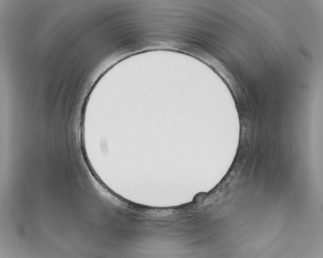 X0000110741143200907271056