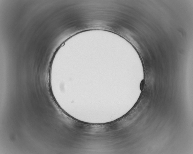 X0000110741144200907271056