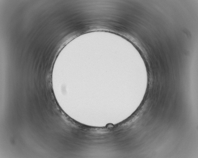 X0000110741145200907271056