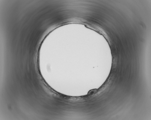 X0000110741146200907271056