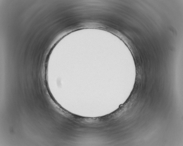 X0000110741147200907271056