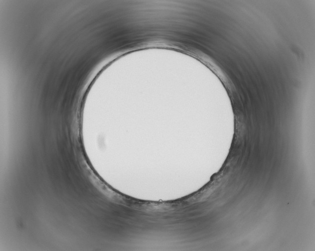 X0000110741148200907271056