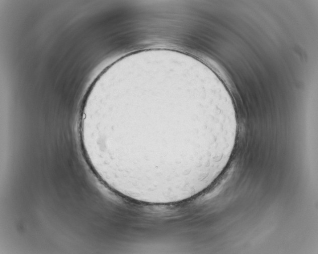 X0000110741149200907271056