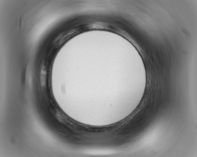X0000110741151200907271056