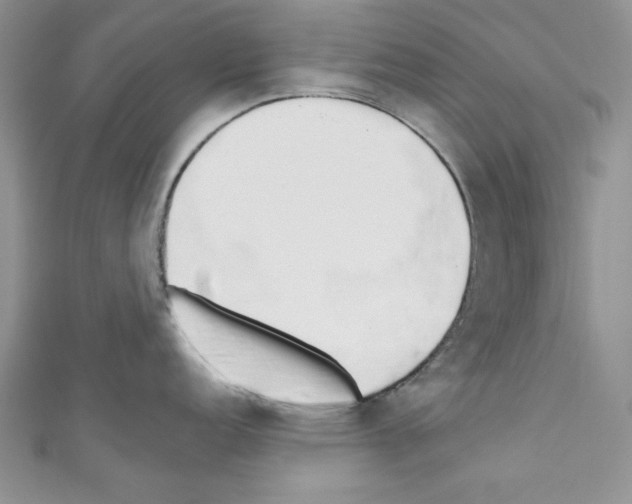 X0000110741152200907271056