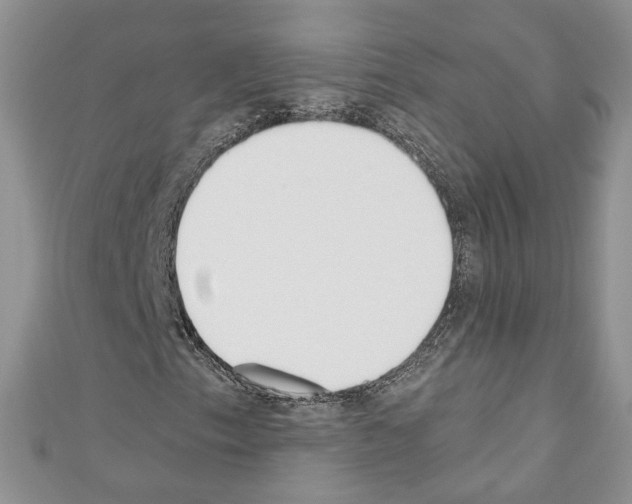 X0000110741153200907271056