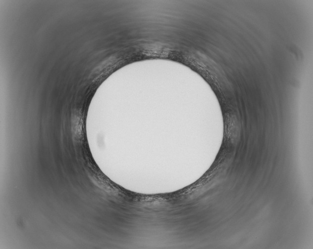 X0000110741154200907271056