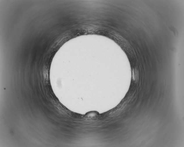 X0000110741155200907271056