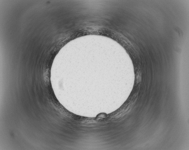 X0000110741156200907271056