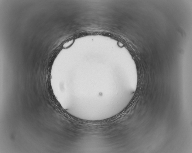 X0000110741157200907271056